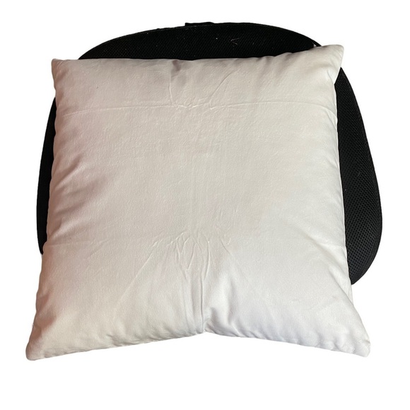 TWO Pillow Covers with Pottery Barn Duck Feather and Down Pillow Inserts - Picture 12 of 16